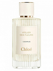 Chloe Cedrus