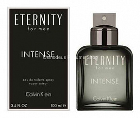 Calvin Klein Eternity For Men Intense